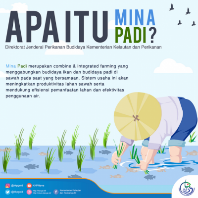Apa Itu Mina Padi? - 20180323